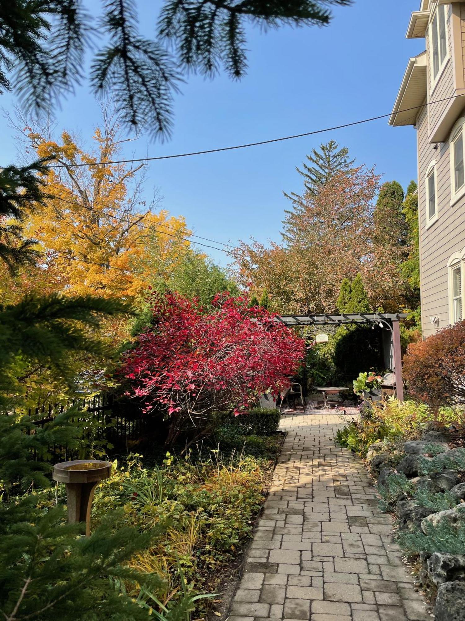 Norfolk Guest House Inn Guelph Exterior photo
