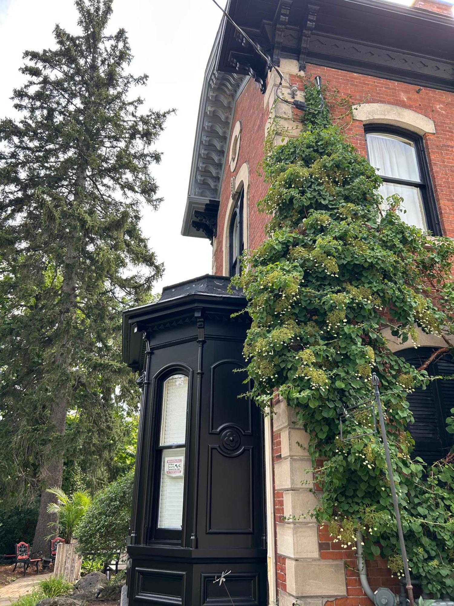Norfolk Guest House Inn Guelph Exterior photo